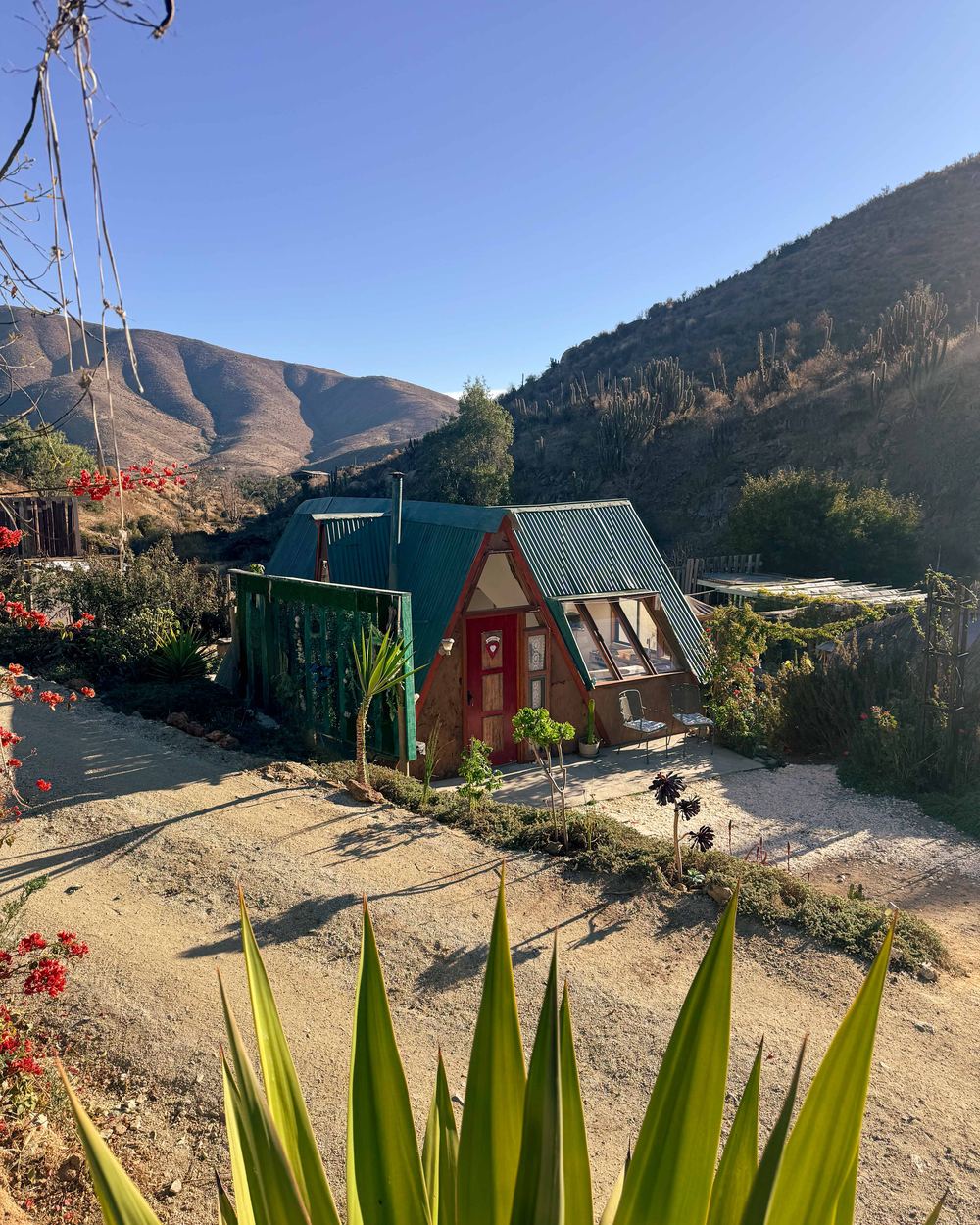 Cabaña entre agaves y flores con los cerros al fondo
